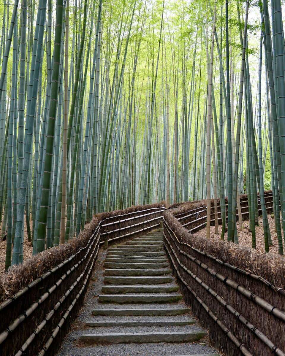 Sapa, Ta Van Village Sapa, Ta Van Village