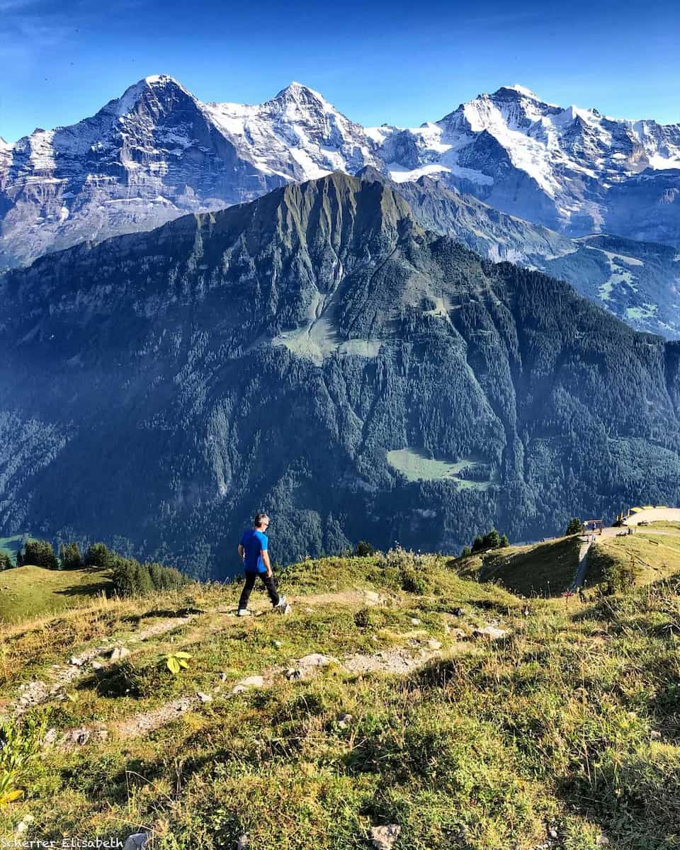 Schynige Platte Jungfrau Region Switzerland Schynige Platte Jungfrau Region Switzerland