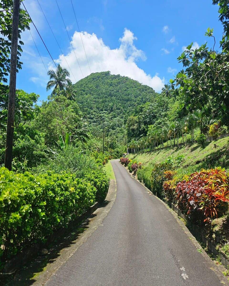St. Lucia, Vieux Fort St. Lucia, Vieux Fort