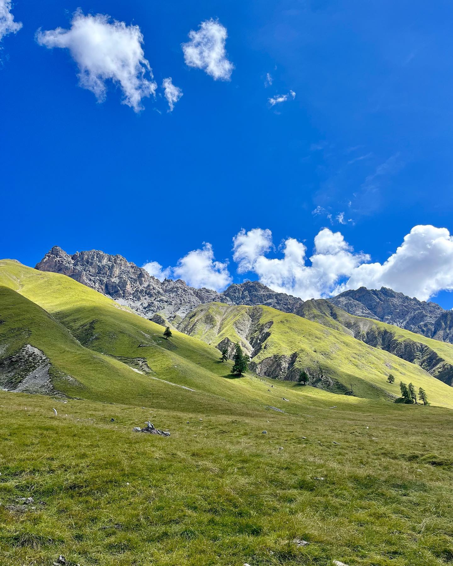 Swiss National Park Switzerland Swiss National Park Switzerland