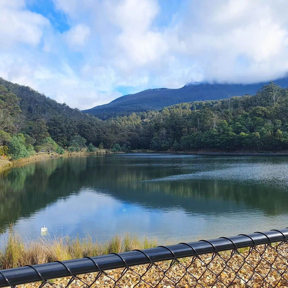Waterworks Reserve, South Hobart Waterworks Reserve, South Hobart