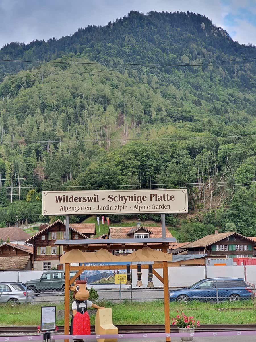 Wilderswil,Interlaken Wilderswil,Interlaken