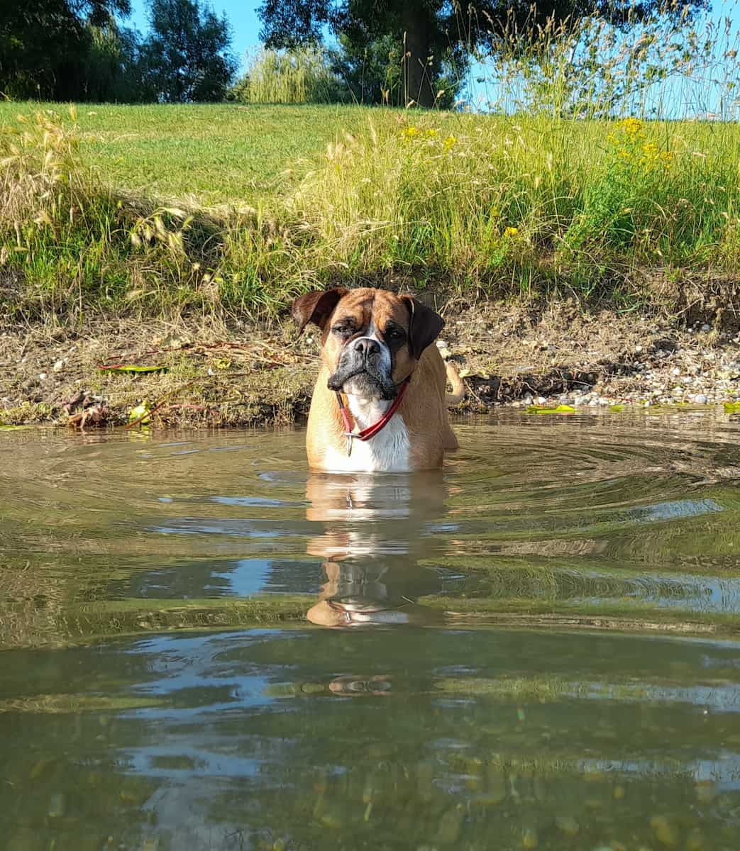 Zagreb, Jarun Lake Zagreb, Jarun Lake