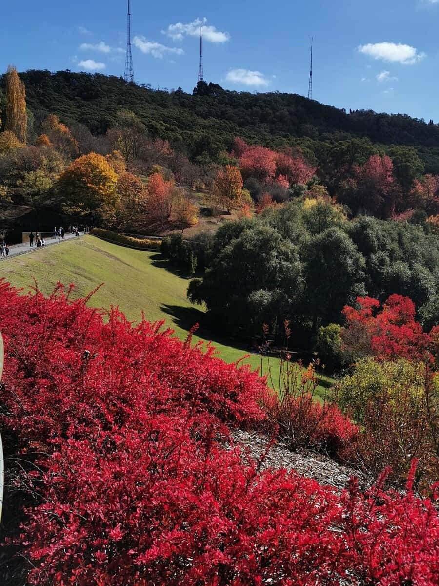 Australia in autumn Australia in autumn