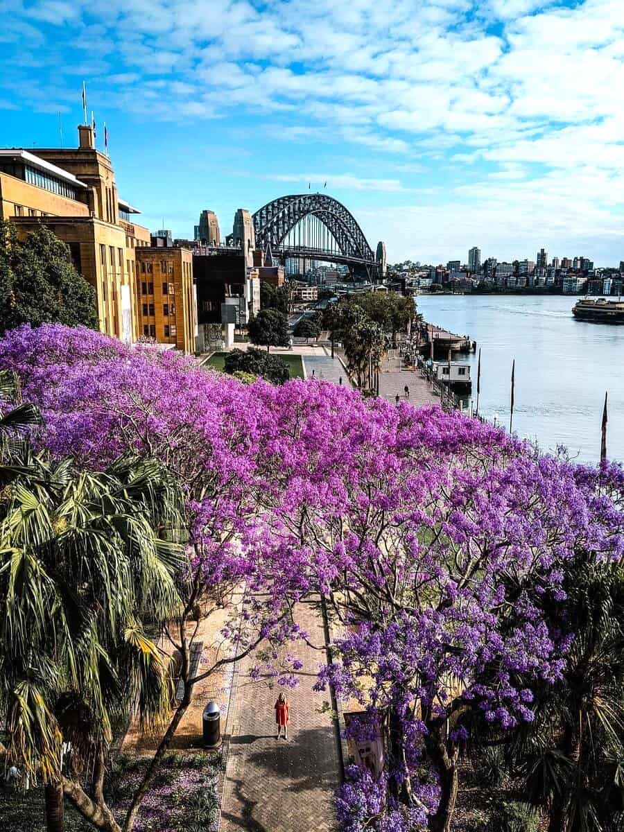 Australia in spring Australia in spring