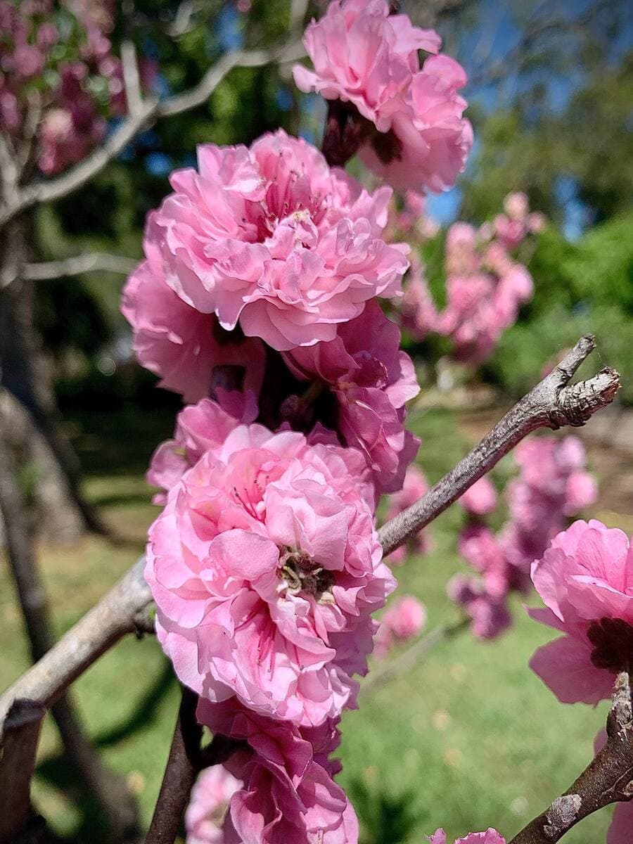 Australia in September Australia in September