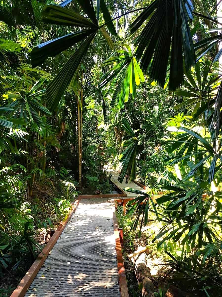 Darwin Botanic Gardens, Northern Australia Darwin Botanic Gardens, Northern Australia