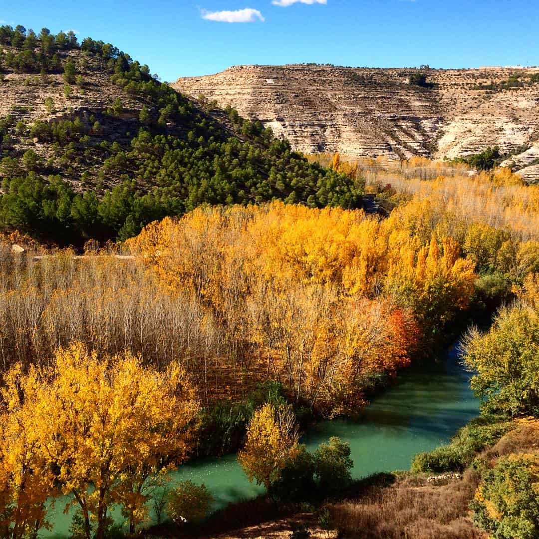 Fall in Spain, Barselona Fall in Spain, Barselona