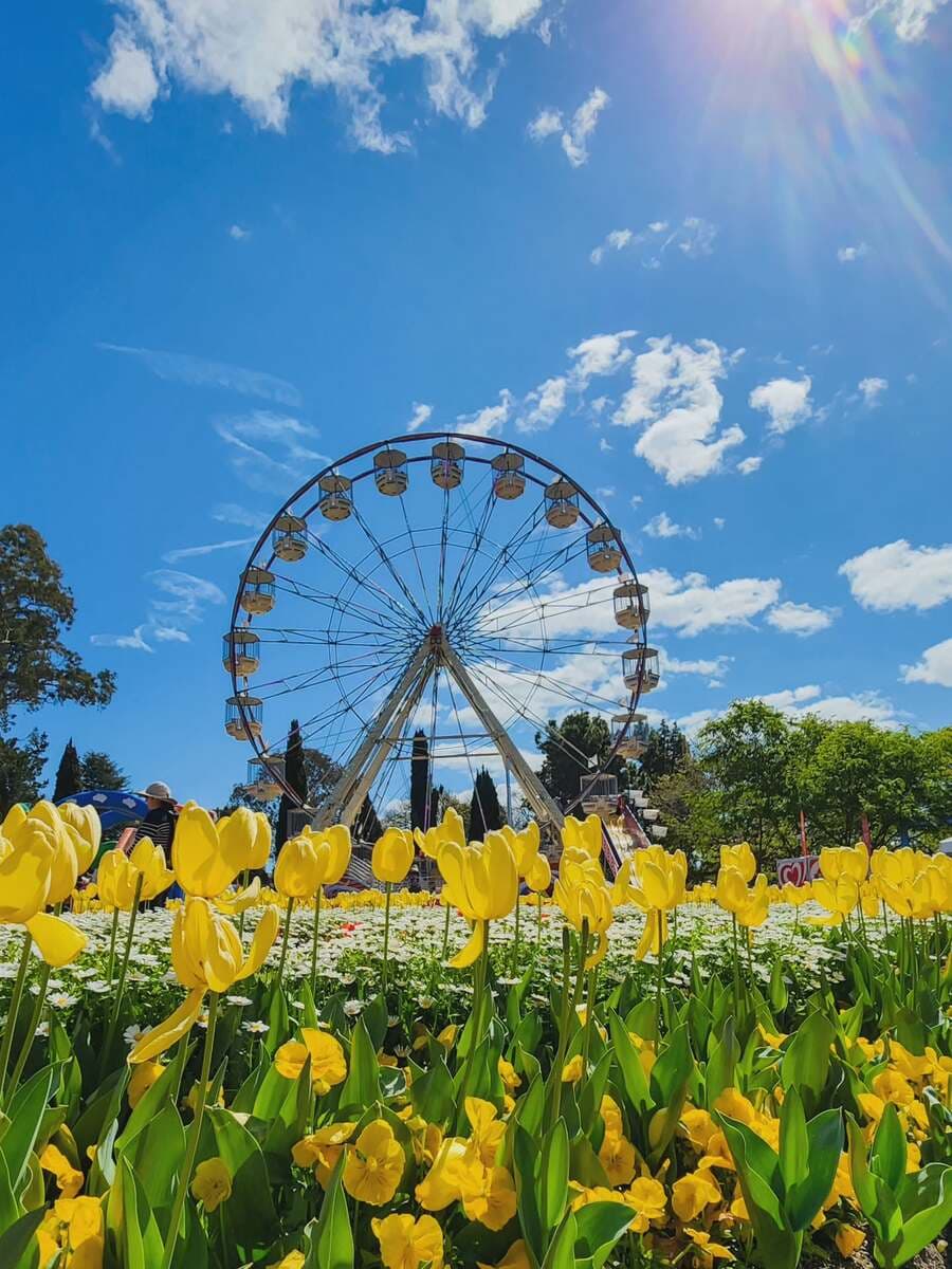Floriade festival, Australia Floriade festival, Australia