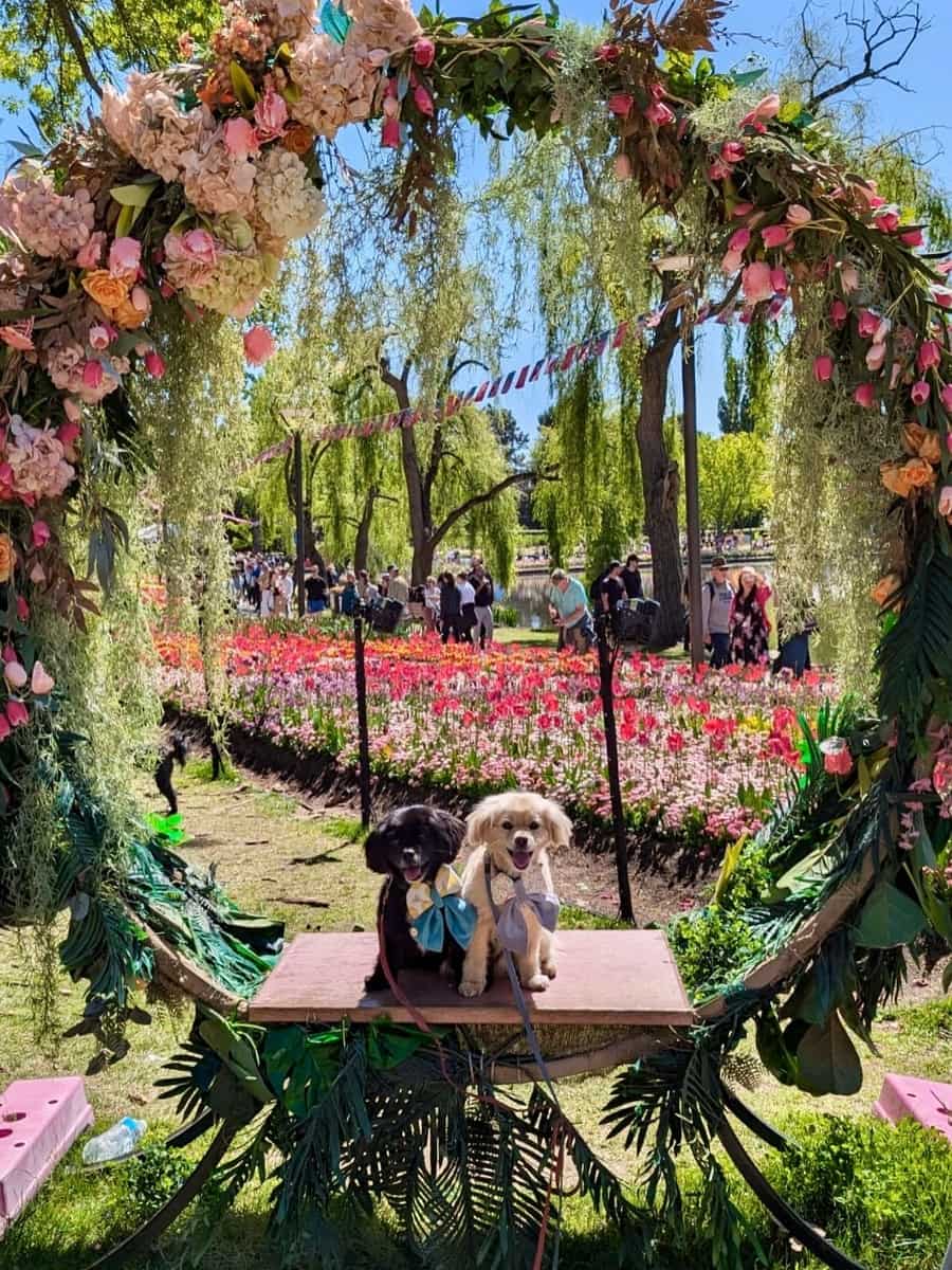 Floriade festival, Australia Floriade festival, Australia