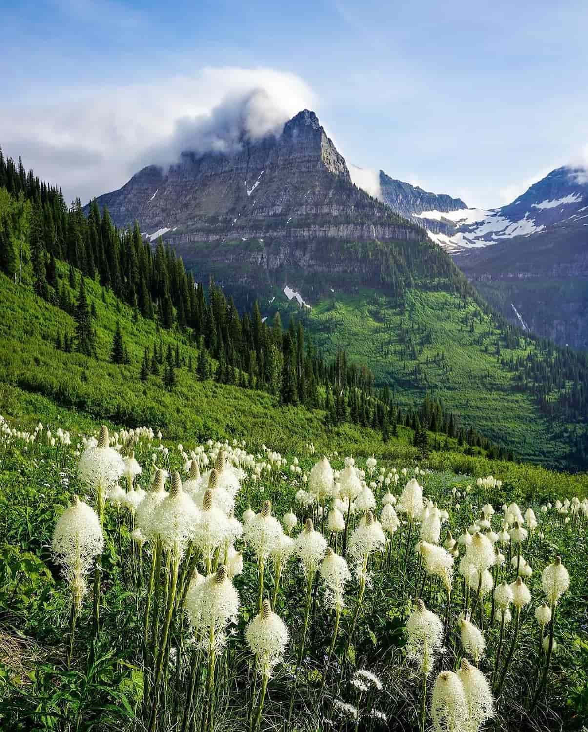 Glacier National Park Glacier National Park