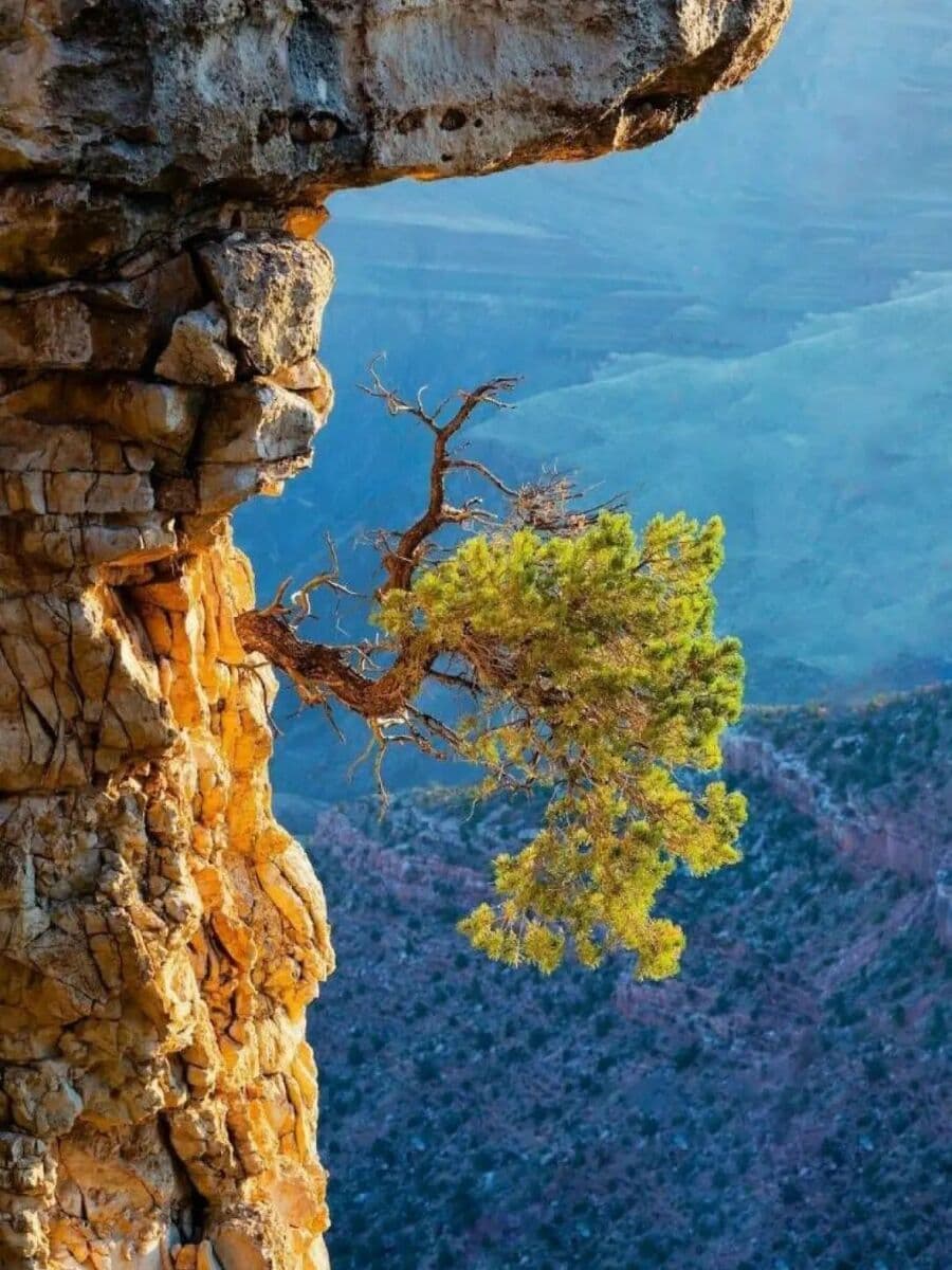 Grand Canyon in the Fall Grand Canyon in the Fall