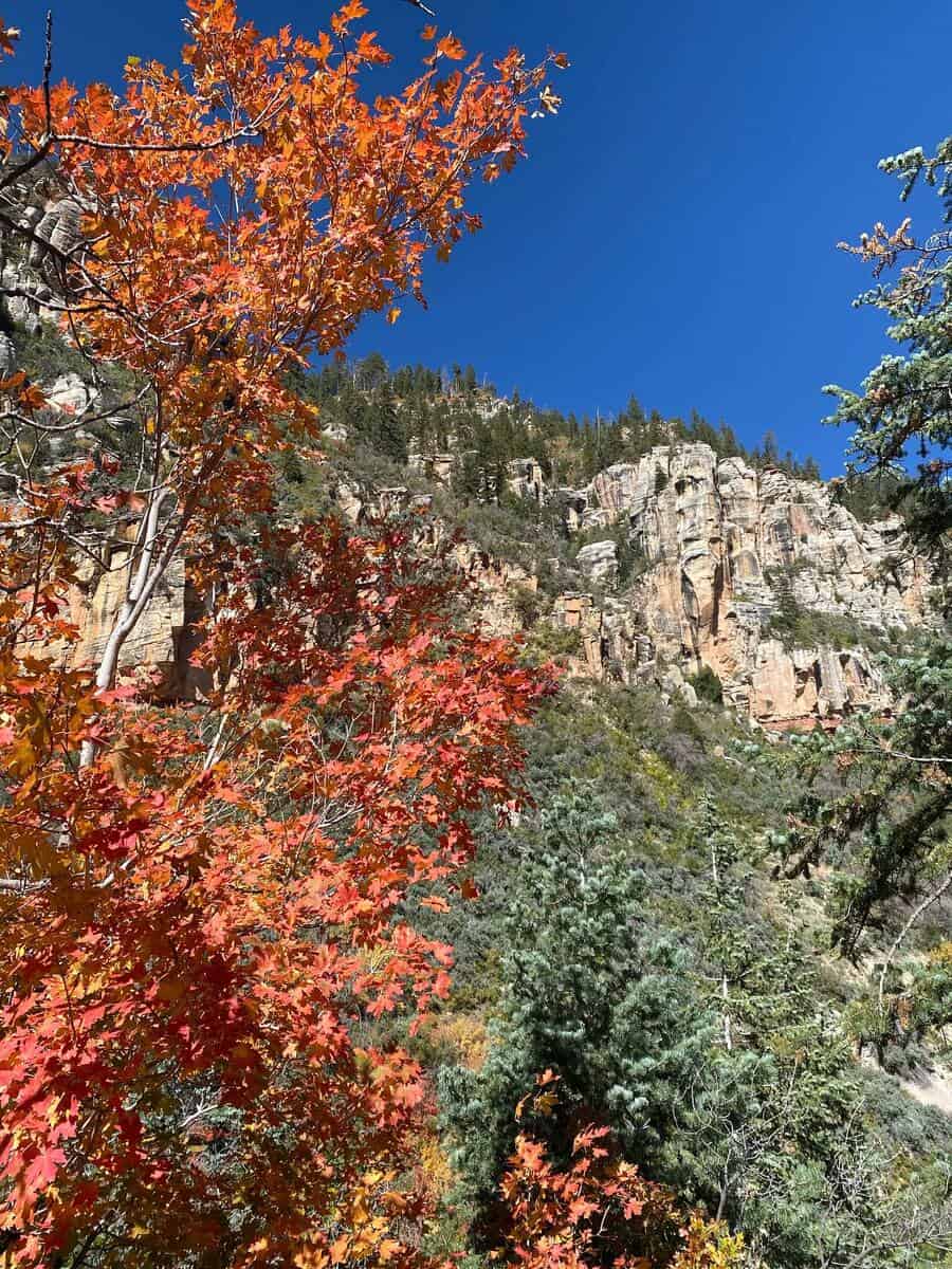 Grand Canyon in the Fall Grand Canyon in the Fall