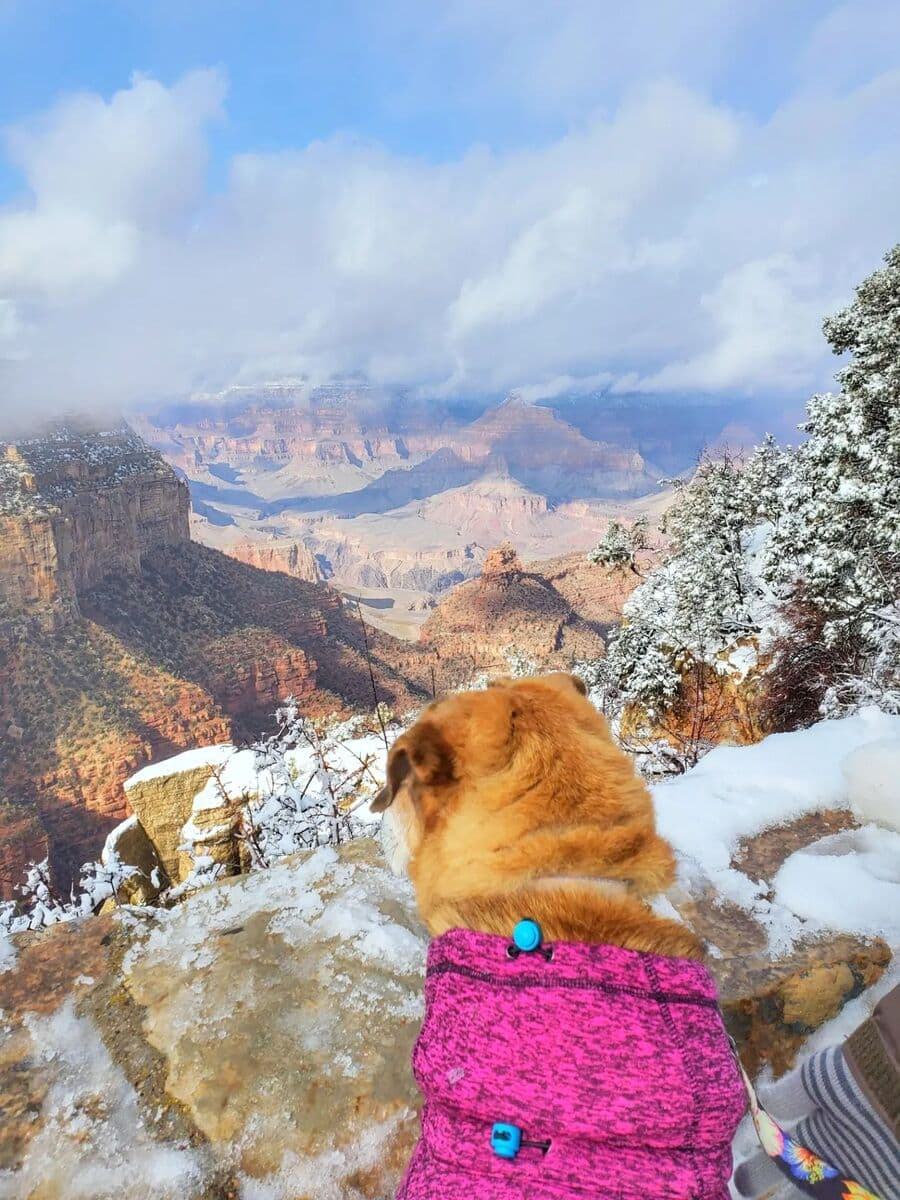 Grand Canyon in winter Grand Canyon in winter