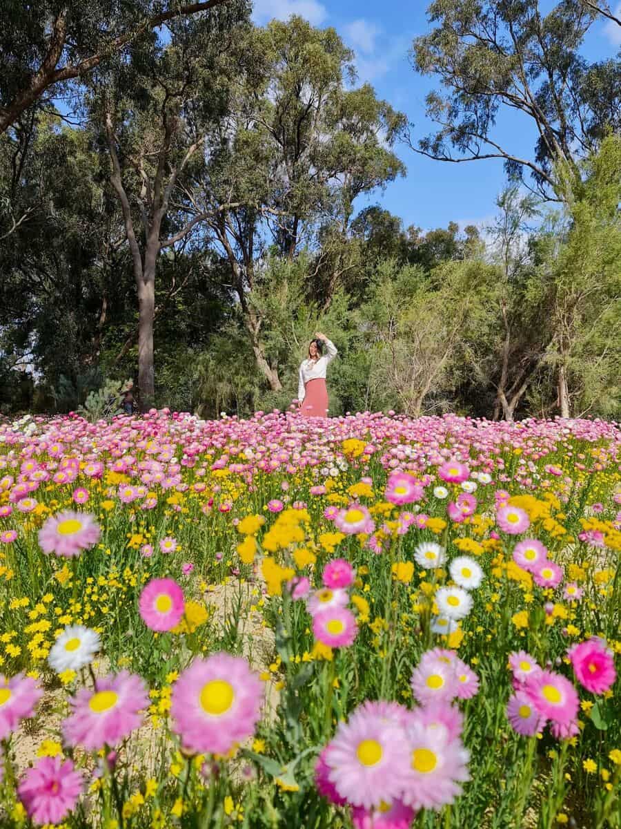 Kings Park and Botanic Garden, Australia Kings Park and Botanic Garden, Australia