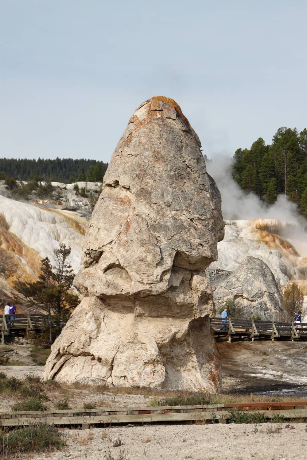 Mammoth Hot Springs, Yellowstone National Park, USA Mammoth Hot Springs, Yellowstone National Park, USA