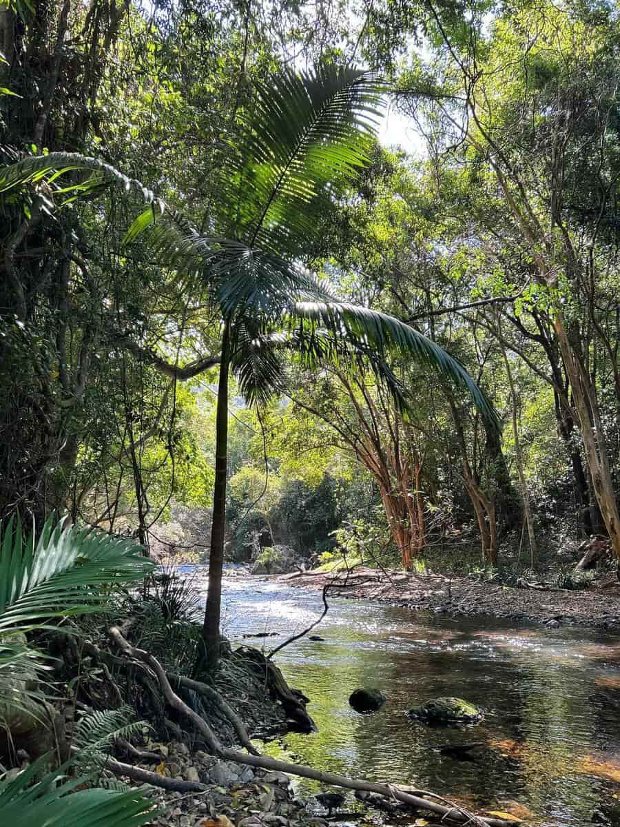 North Queensland North Queensland