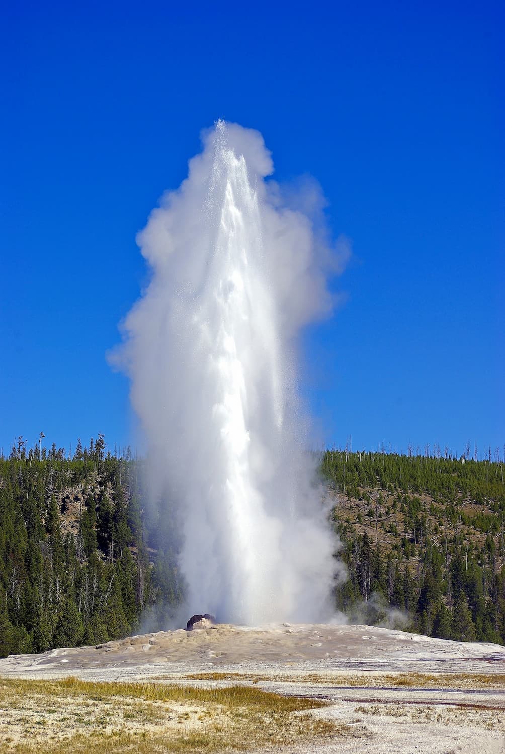 Old Faithful, Yellowstone National Park, USA Old Faithful, Yellowstone National Park, USA