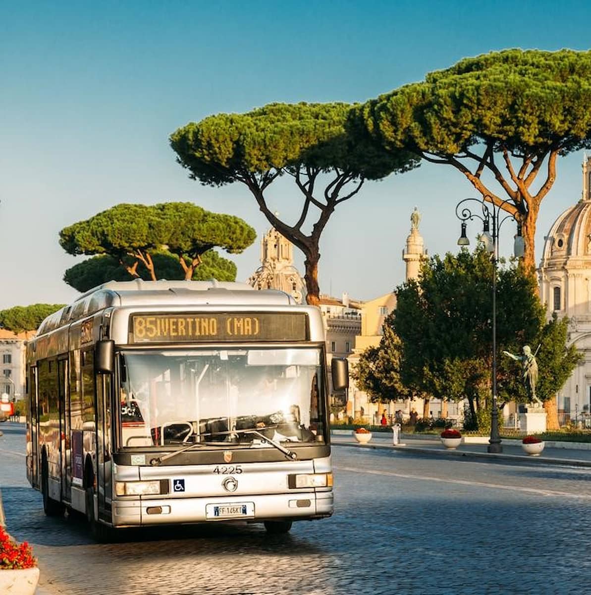 Rome's buses Rome's buses