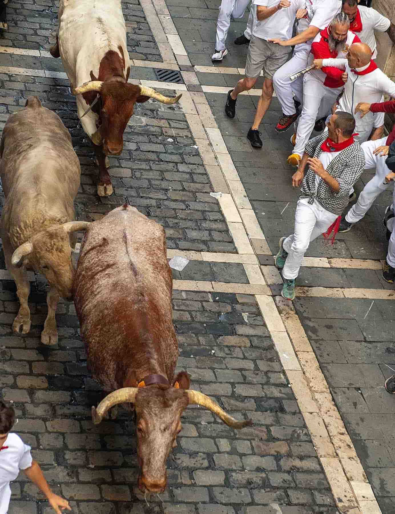 Summer_Season_Spain_1