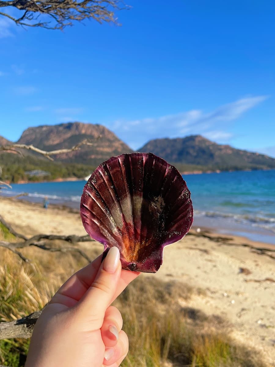 Tasmania, Australia Tasmania, Australia