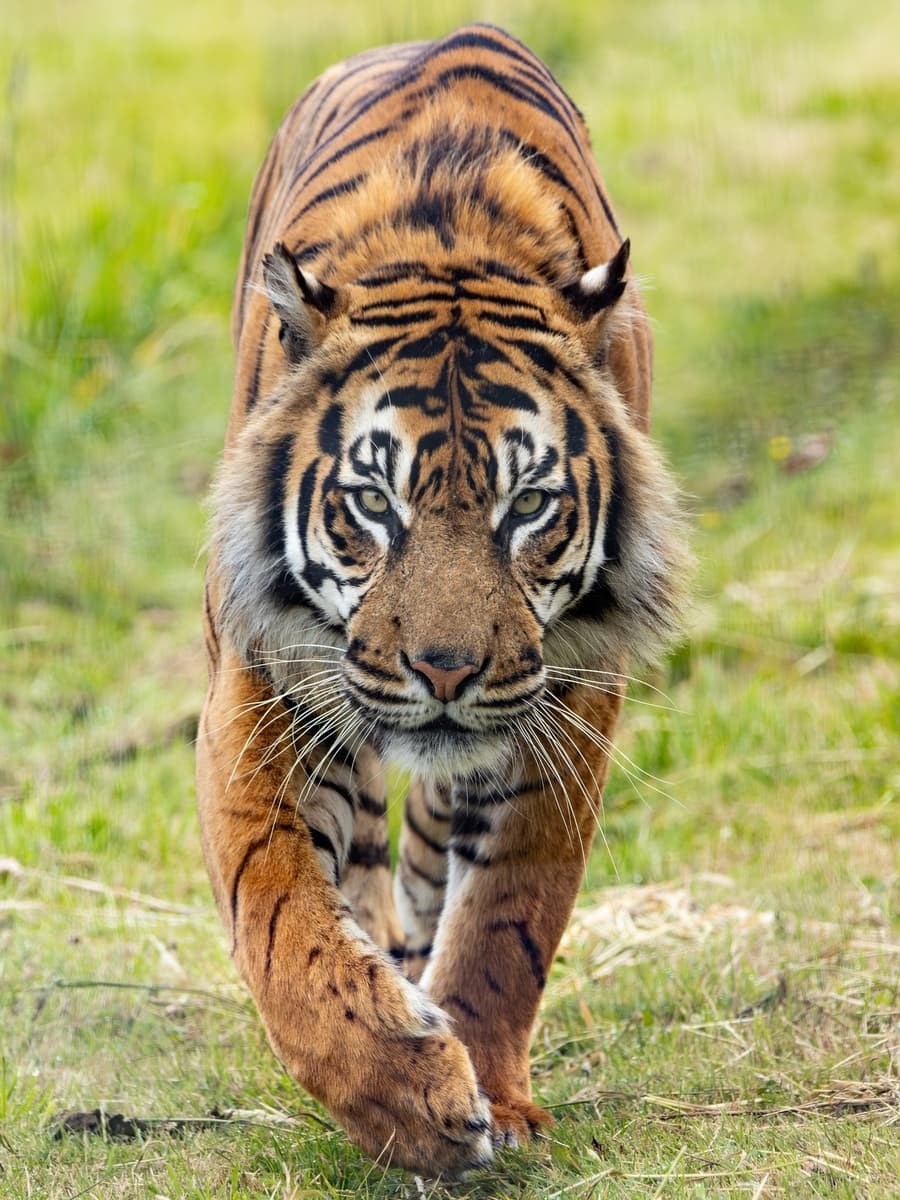 Wildlife Park, Northern Australia Wildlife Park, Northern Australia