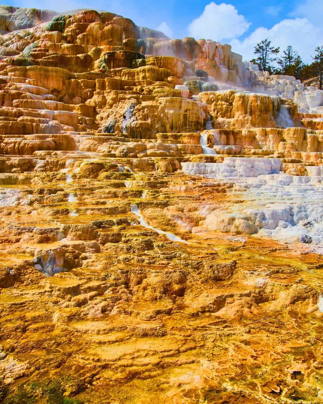 Yellowstone National Park, East Gate, USA Yellowstone National Park, USA