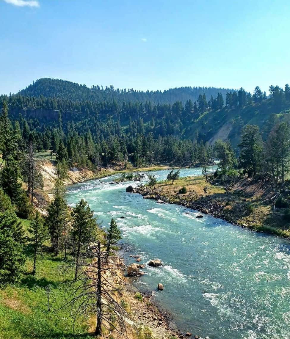 Yellowstone National Park, USA Yellowstone National Park, USA