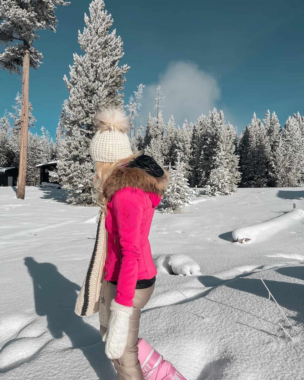 Yellowstone National Park, USA Yellowstone National Park, USA