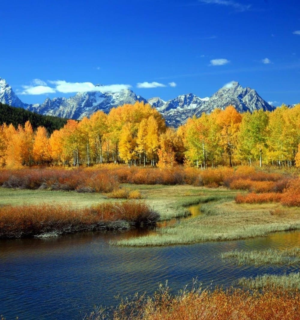Yellowstone National Park, USA Yellowstone National Park, USA