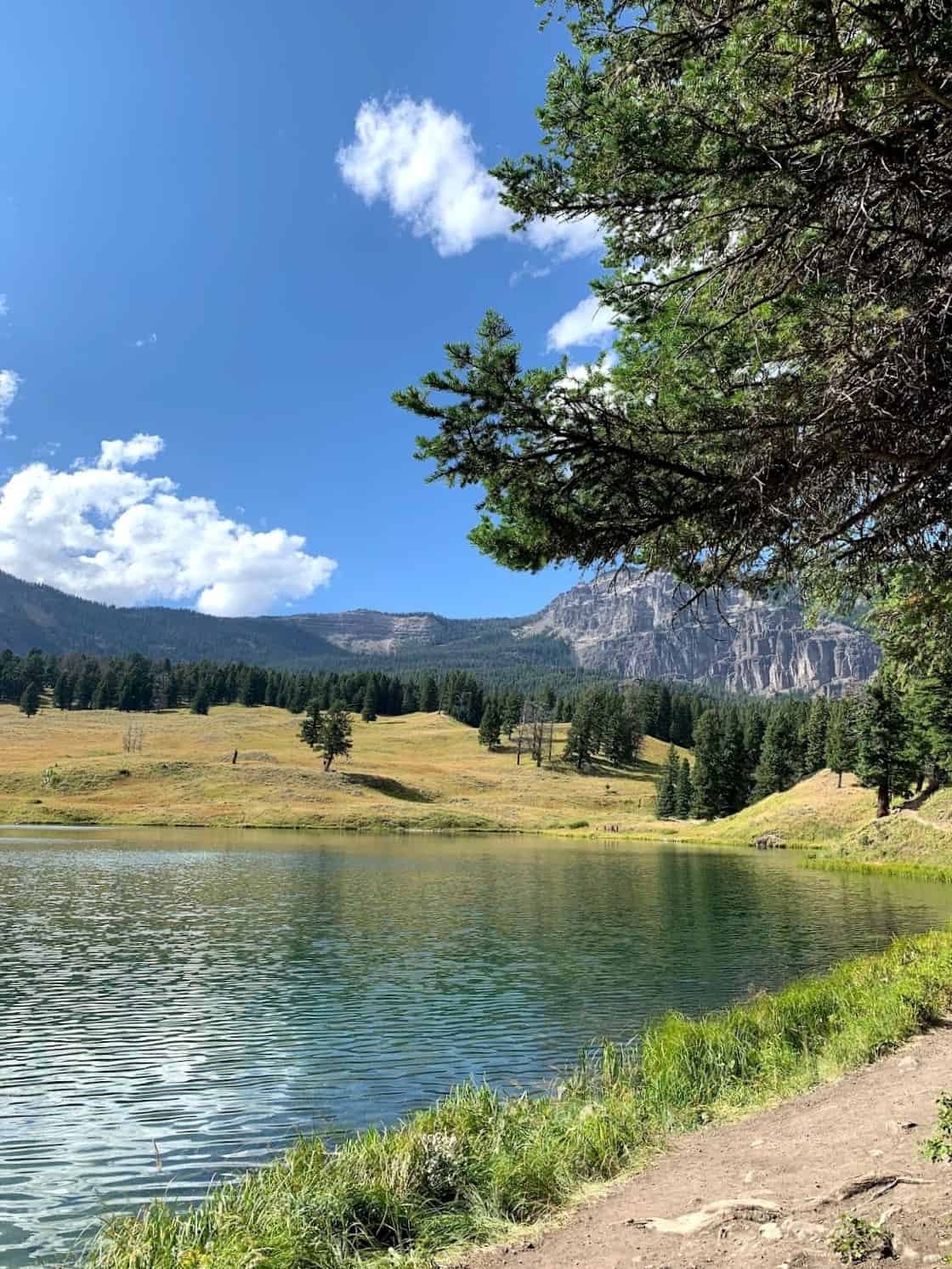 Yellowstone National Park, USA Yellowstone National Park, USA