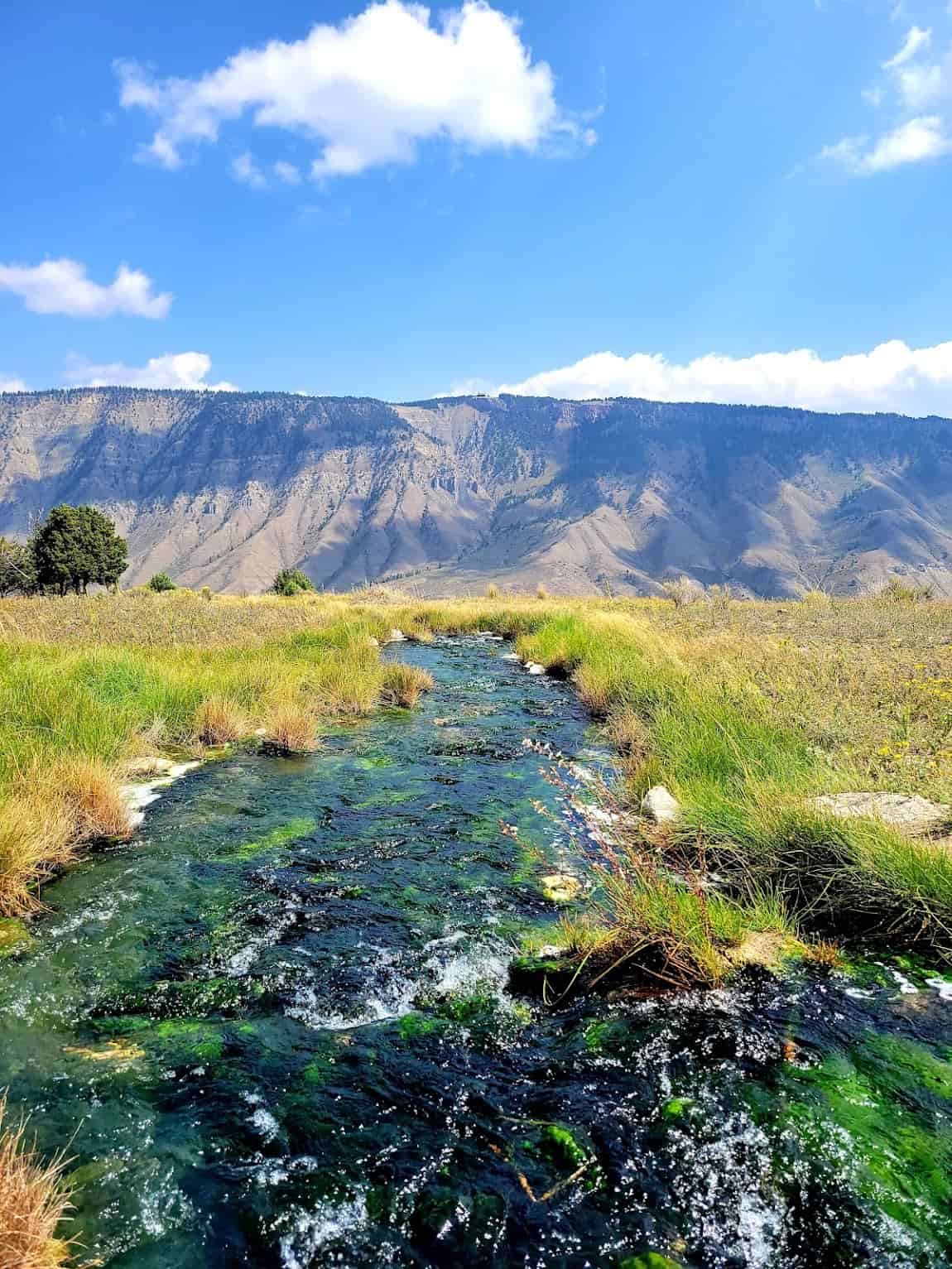 Yellowstone National Park, USA Yellowstone National Park, USA