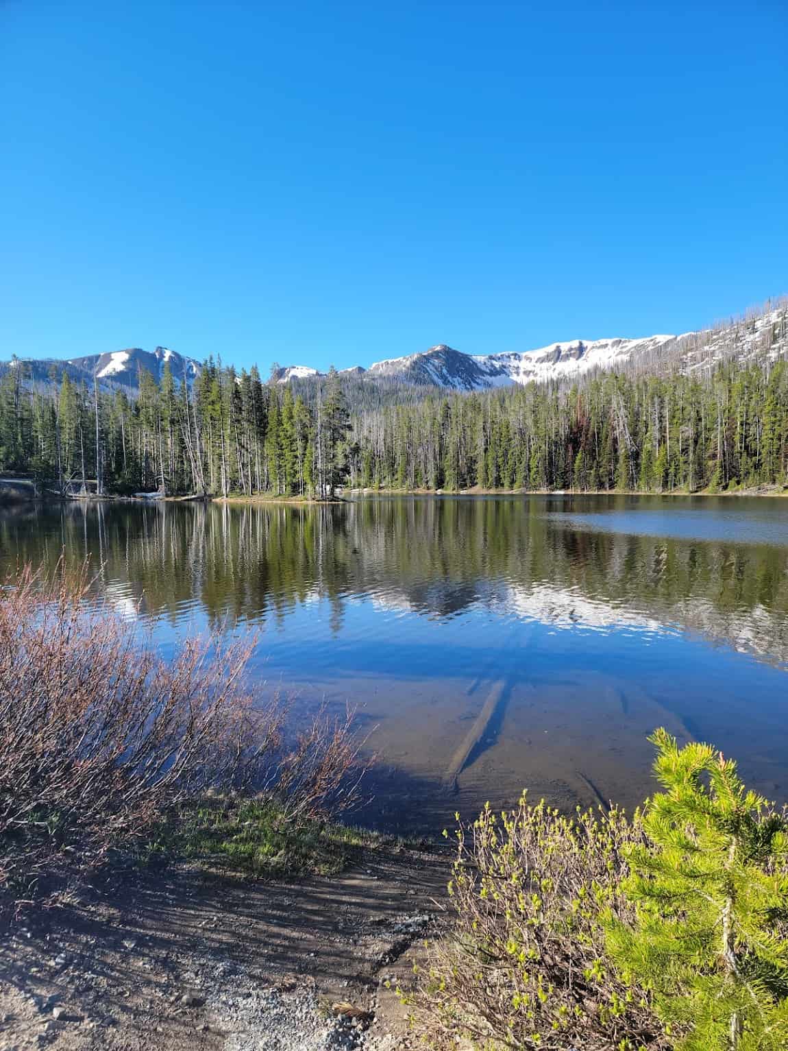 Yellowstone National Park, USA Yellowstone National Park, USA