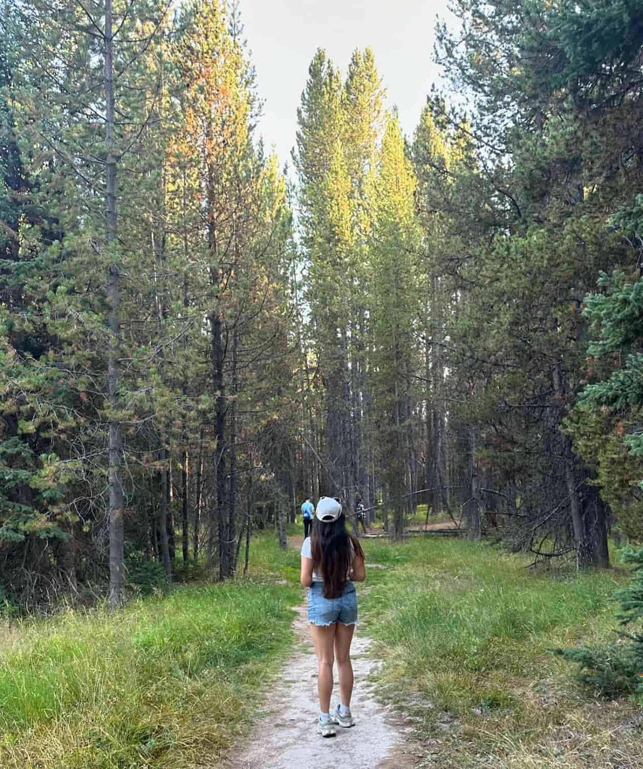 Yellowstone National Park, USA Yellowstone National Park, USA