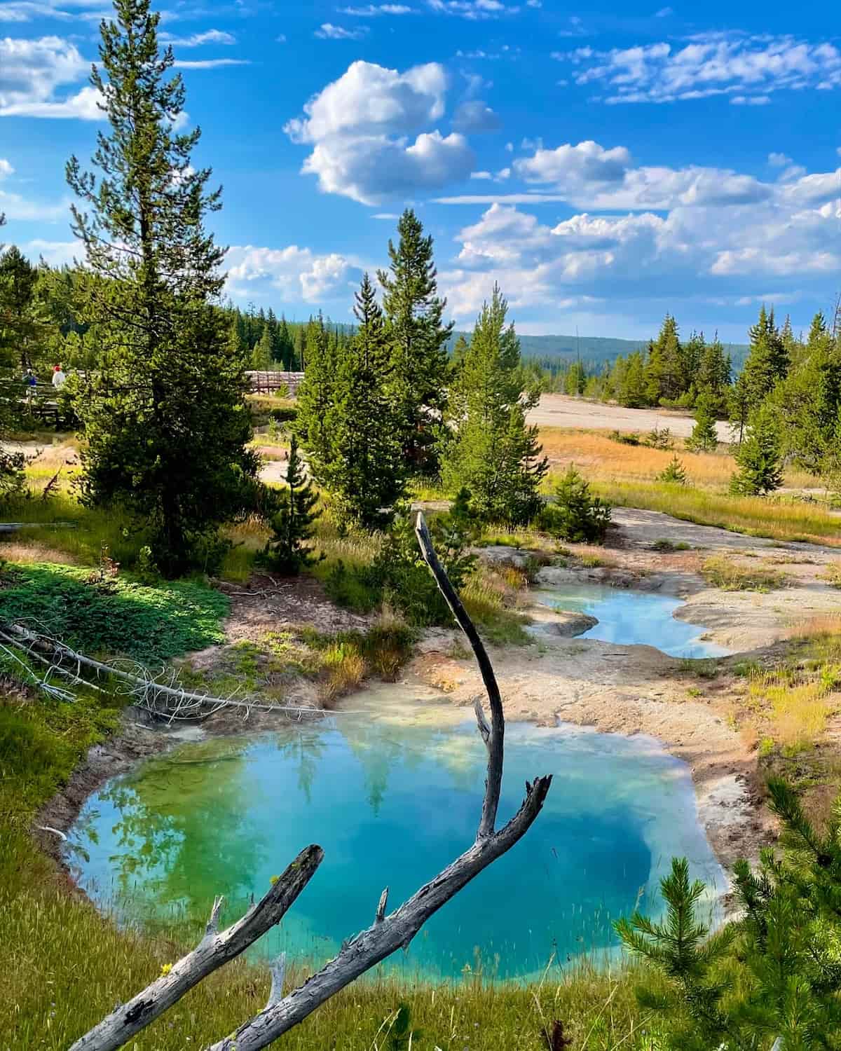 Yellowstone National Park, USA Yellowstone National Park, USA