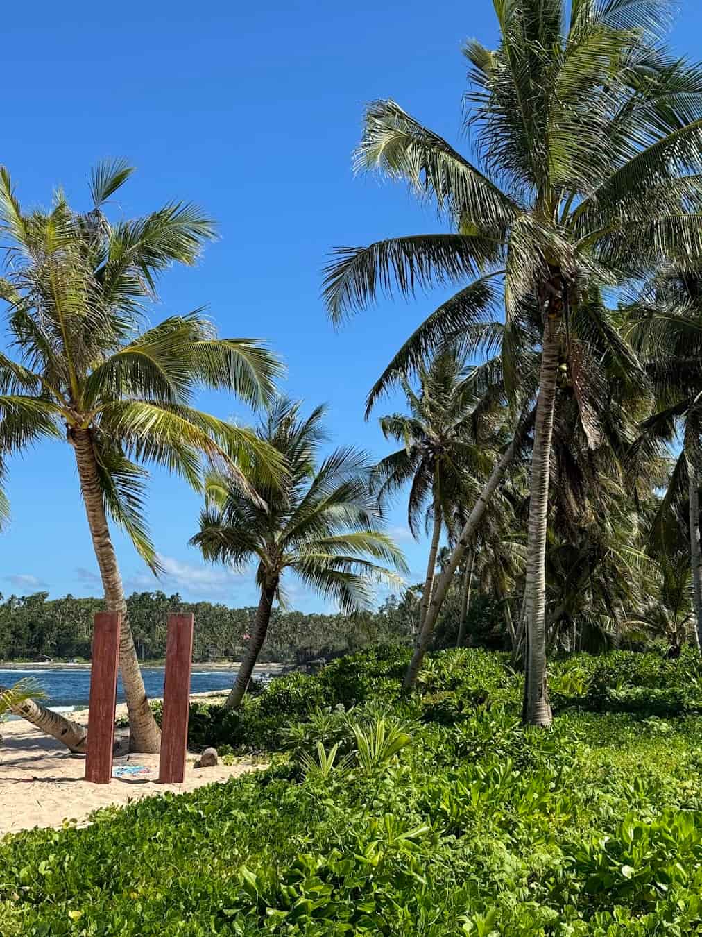 Pacifico, Siargao Pacifico, Siargao