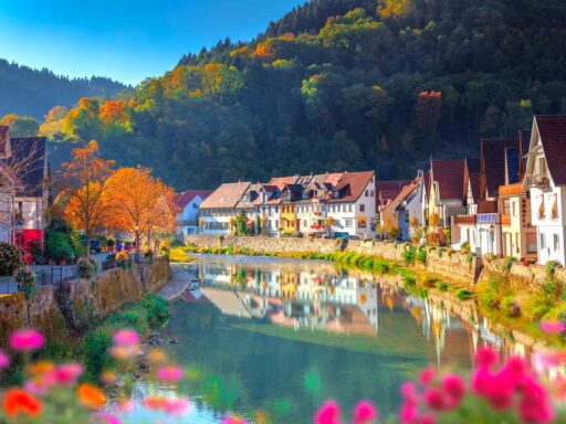 Black Forest Germany