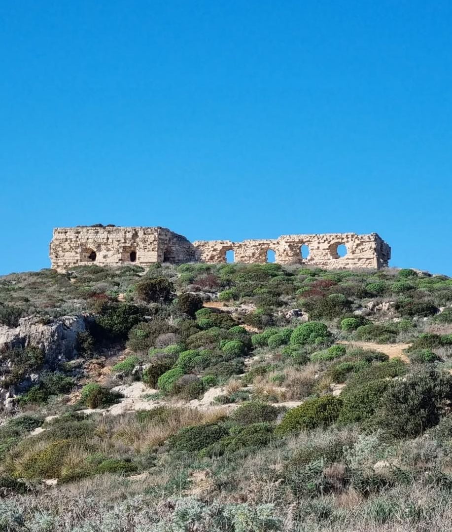 Calamosca, Cagliari Calamosca, Cagliari