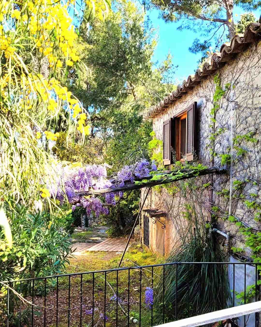 Capo Vaticano, Calabria Capo Vaticano, Calabria
