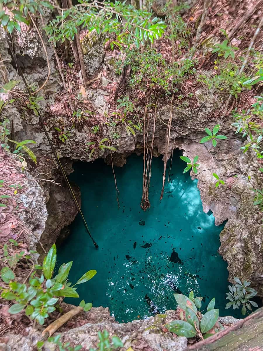 Cenote Santa Cruz, Riviera Maya Cenote Santa Cruz, Riviera Maya