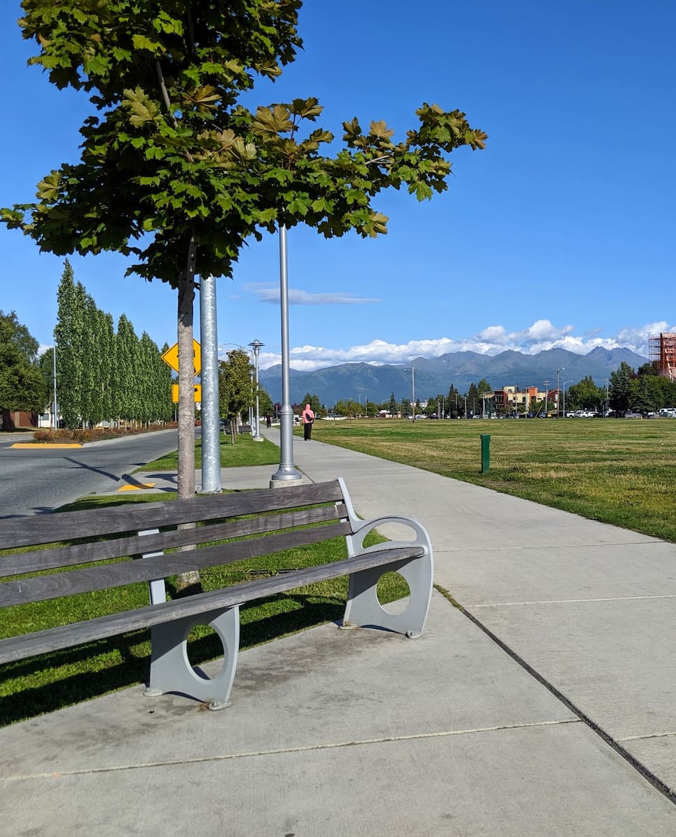 Delaney Park Strip, Alaska Delaney Park Strip, Alaska
