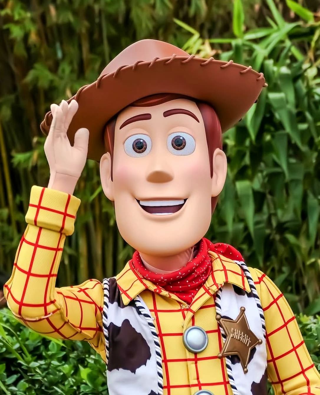 Disney World Area, Orlando Disney World Area, Orlando