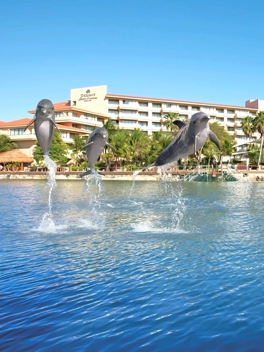 Dolphin Center, Puerto Aventuras, Riviera Maya Dolphin Center, Puerto Aventuras, Riviera Maya