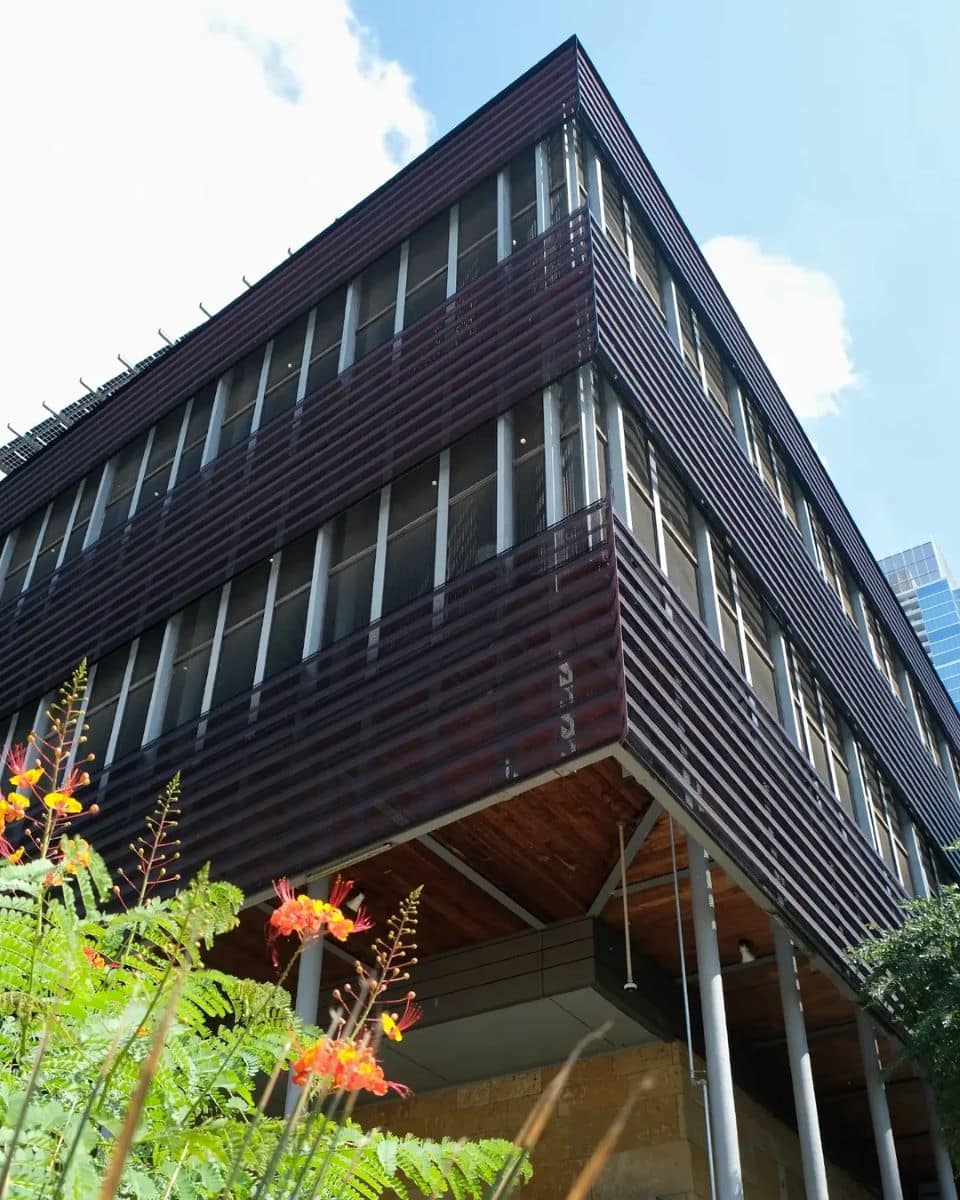 Zilker Austin Zilker Austin