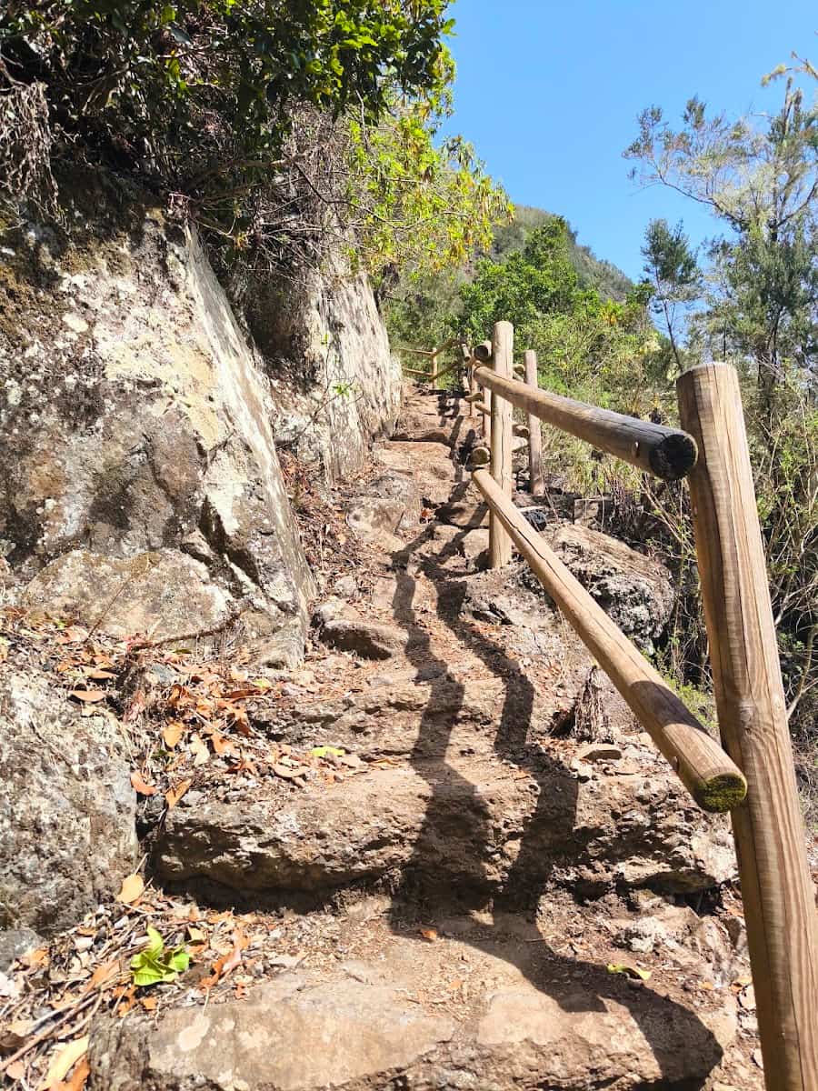 El Cedro, La Gomera El Cedro, La Gomera