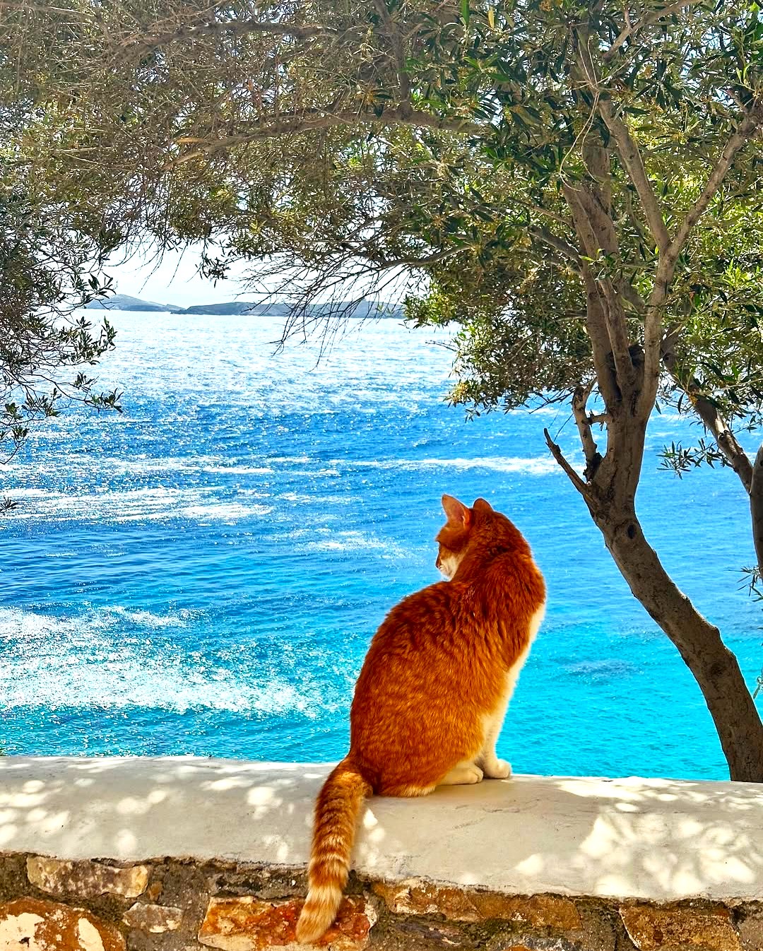 Ermoupoli, Syros Ermoupoli, Syros