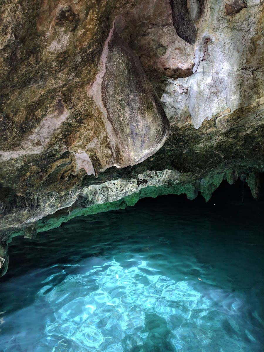 Gran Cenote, Riviera Maya Gran Cenote, Riviera Maya