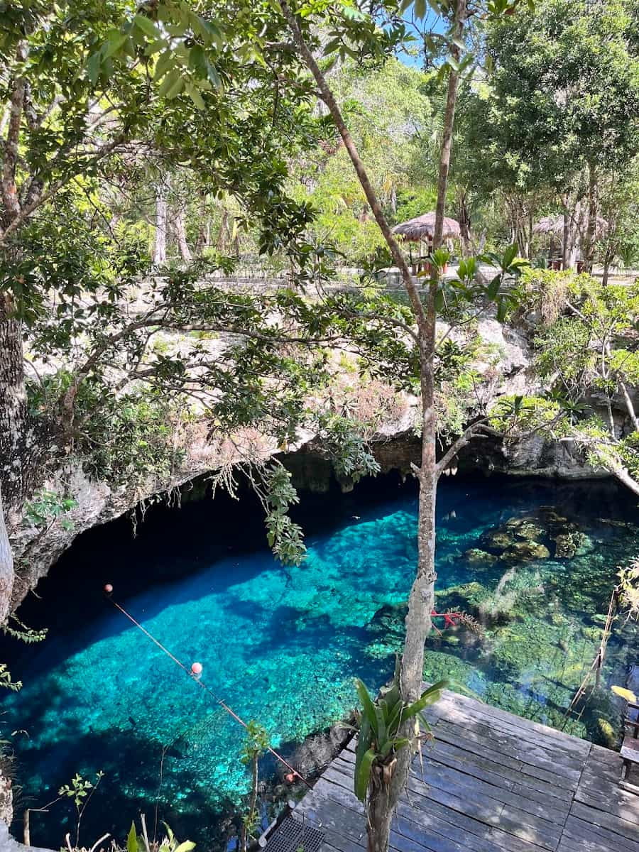 Gran Cenote, Riviera Maya Gran Cenote, Riviera Maya