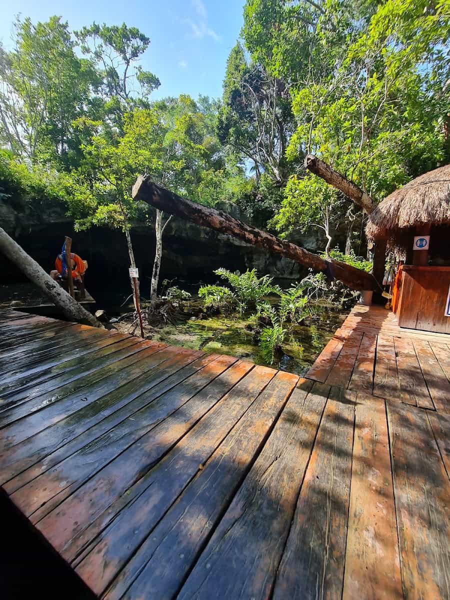 Gran Cenote, Riviera Maya Gran Cenote, Riviera Maya