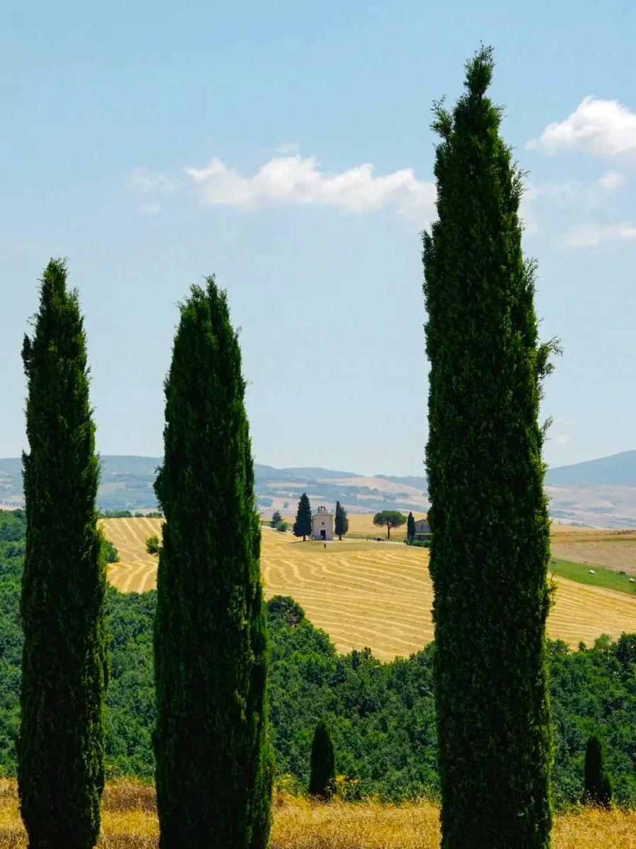 Istrice District, Siena Istrice District, Siena